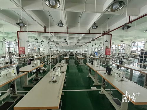 廣東AI賦能產業升級 以科技信息咨詢服務引爆融合新優勢